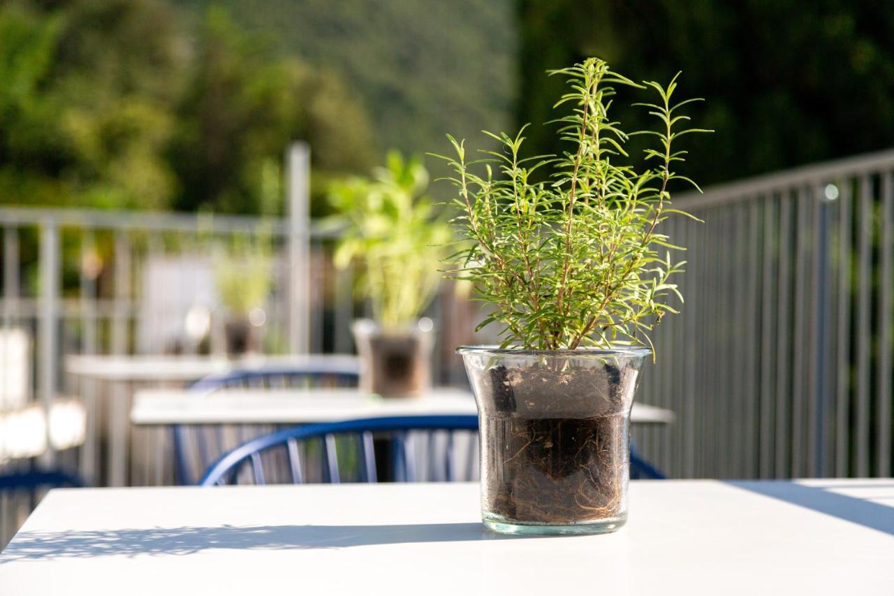 Vistalago Torbole Torbole Sul Garda Exteriér fotografie